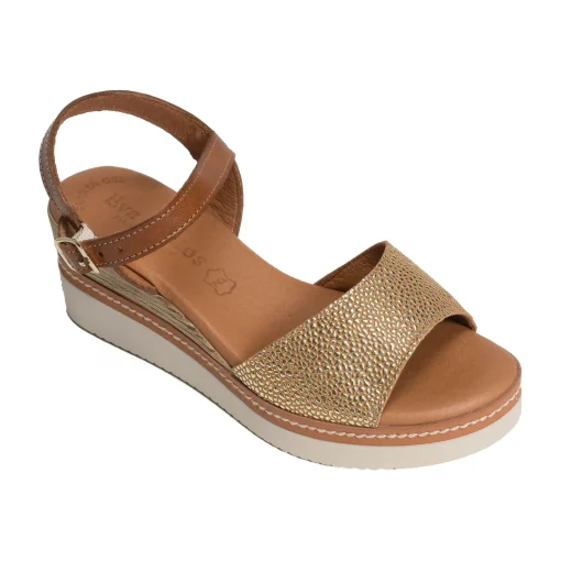 569 Camel Or