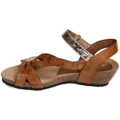 2119 Camel Or