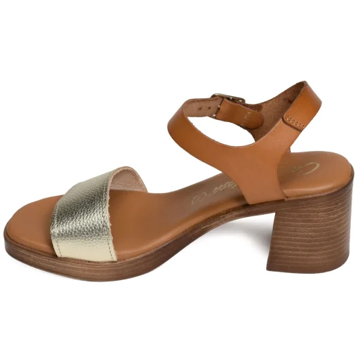 68661 Camel Or