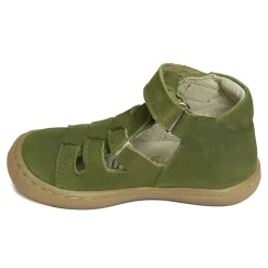CESAR Vert