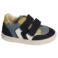 CIRANO Marine Multicolore