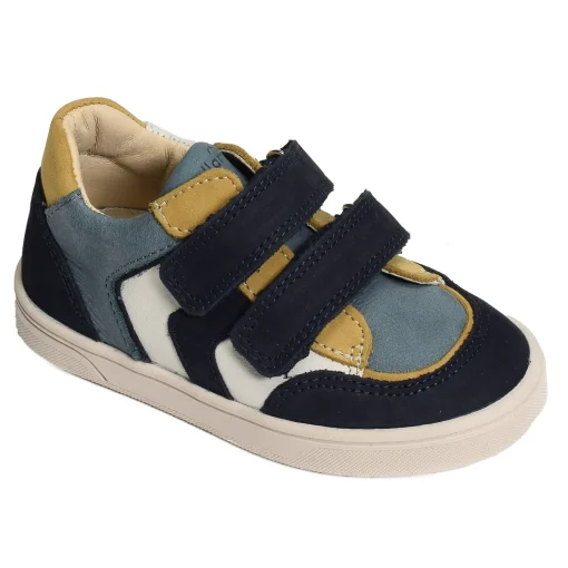 CIRANO Marine Multicolore