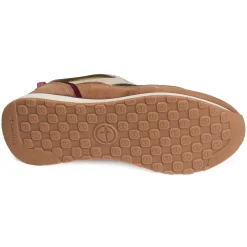 23741 Cognac