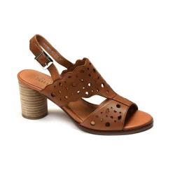 COLLY 01 Camel