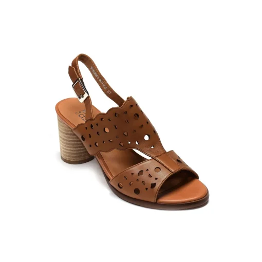 COLLY 01 Camel