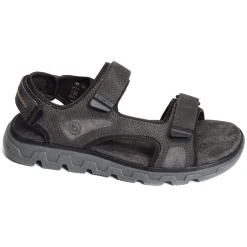 CREEK AFG81 Marron