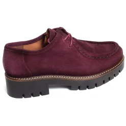 CV6202 Prune