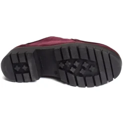 CV6202 Prune