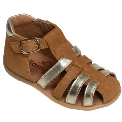 DAX Camel Or
