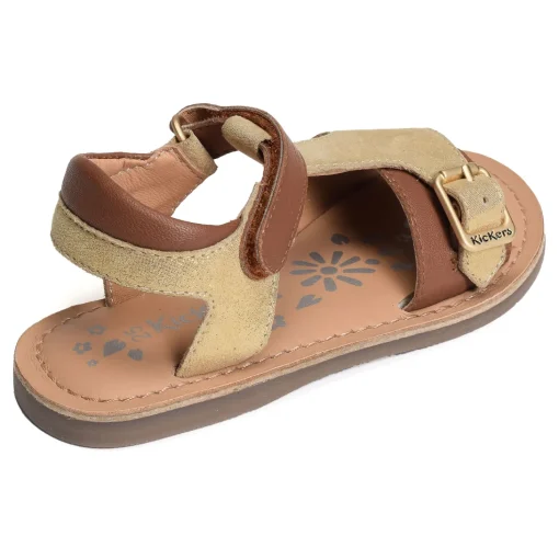 DIAZZ Camel Or