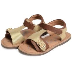 DIAZZ Camel Or