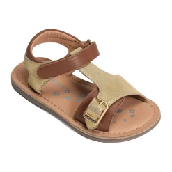 DIAZZ Camel Or