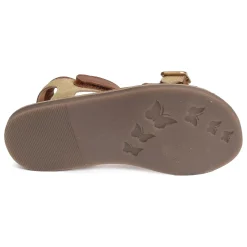 DIAZZ Camel Or
