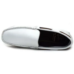DINGO 6806 Blanc