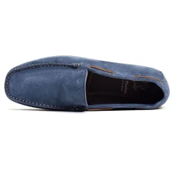 DINGO 6806 Bleu