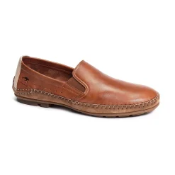 DORIAN F1174 Camel