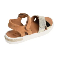 EVI Camel Or