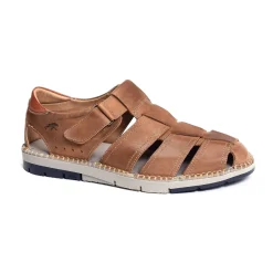 F1167 Camel