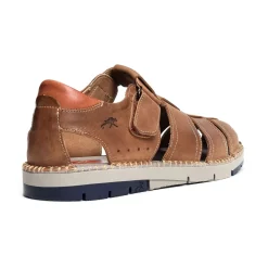 F1167 Camel