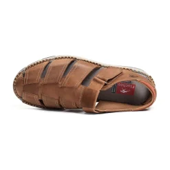 F1167 Camel