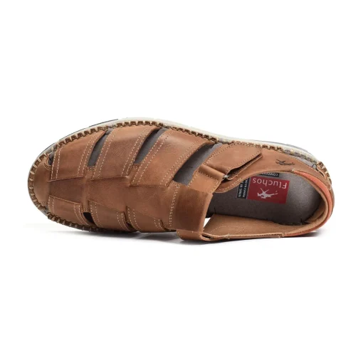 F1167 Camel