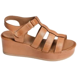 FAENA Camel