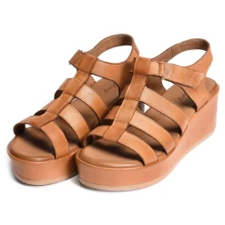 FAENA Camel