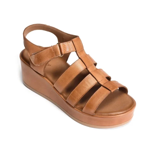 FAENA Camel