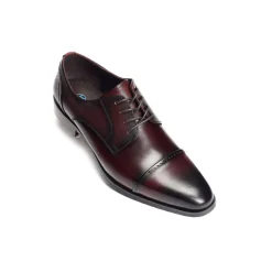 FOLTA Bordeaux
