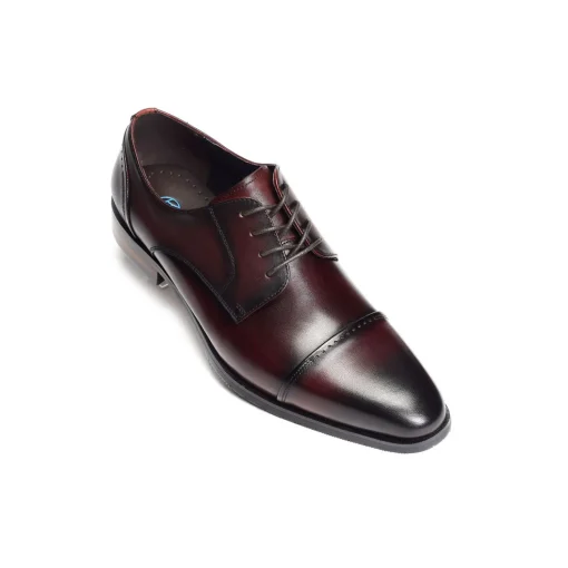 FOLTA Bordeaux