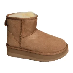 GANA Chestnut