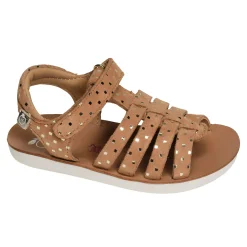 GOA SPART Camel