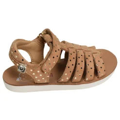 GOA SPART Camel