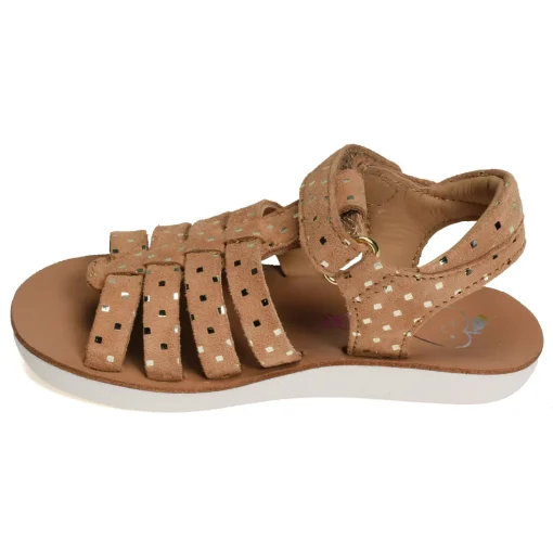 GOA SPART Camel