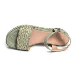 GODELL Kaki