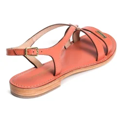 HAMOON Corail