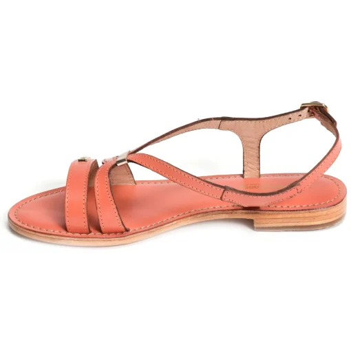 HAMOON Corail