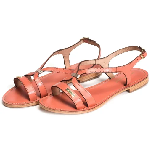 HAMOON Corail