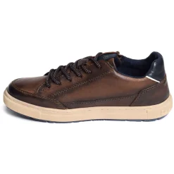 HUBERTO A5G01 Marron
