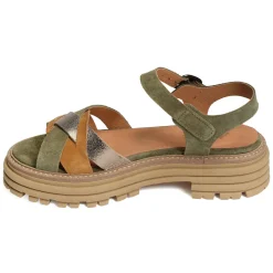 IADINE Kaki