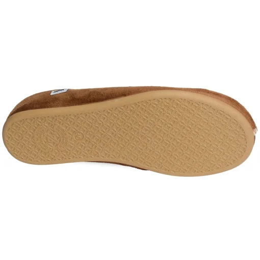IMARA Camel