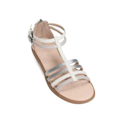 J S KARLY GD Blanc Rose