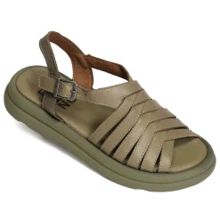 3300 Kaki