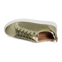 60797 Kaki