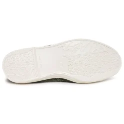 102 Kaki