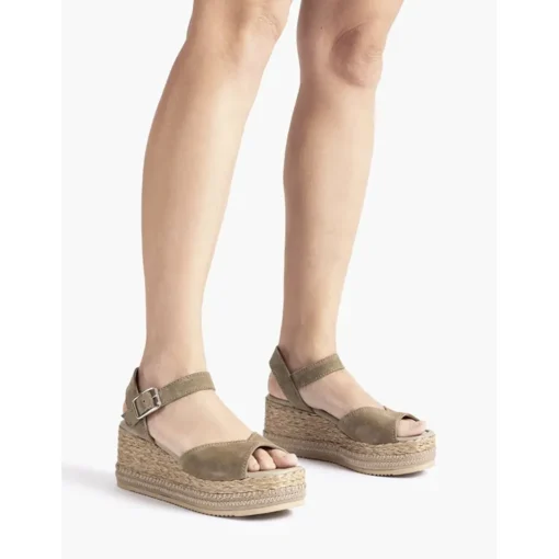 KALTON Kaki