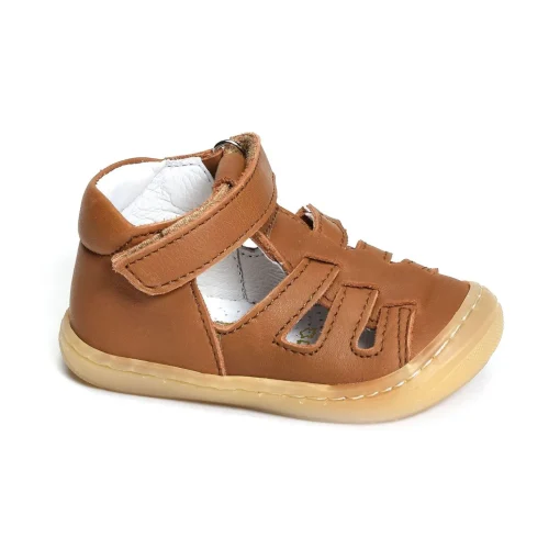 LOPP Camel
