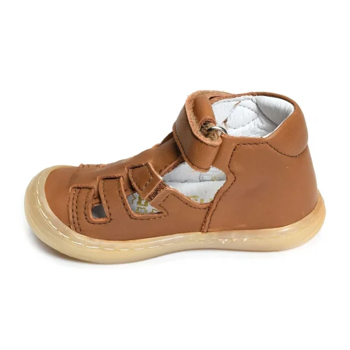 LOPP Camel