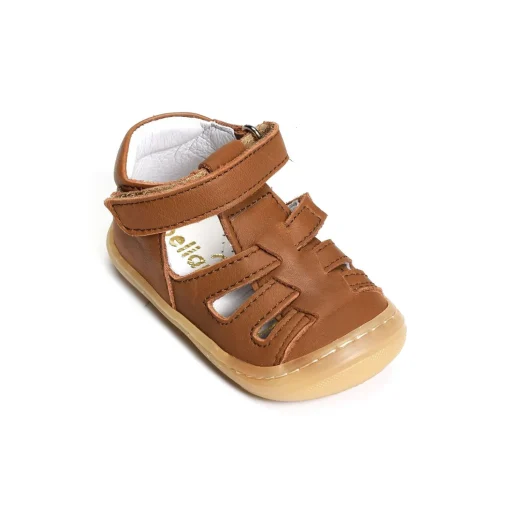 LOPP Camel