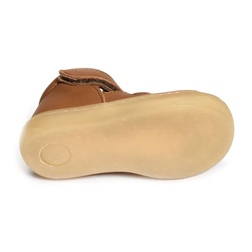 LOPP Camel